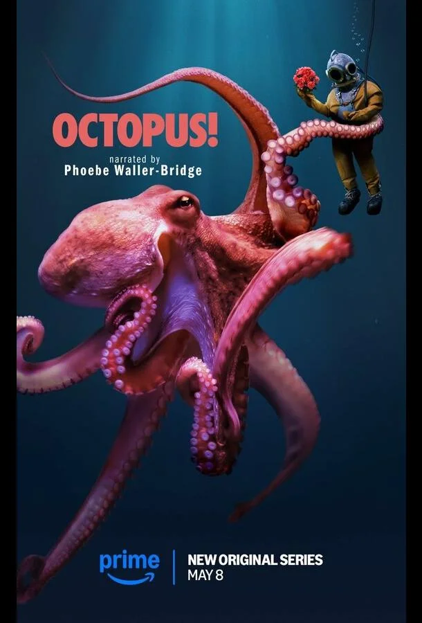 Осьминог!